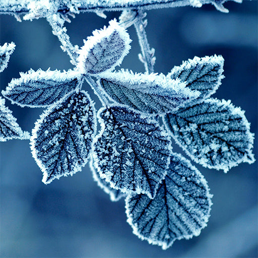 Tips for Staying Warm in Winter 2022